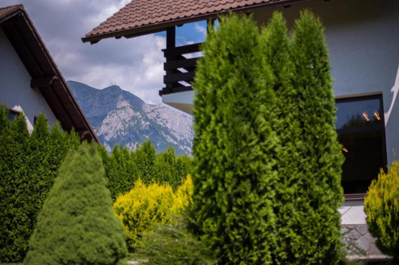 Jack Residence Буштени Экстерьер фото